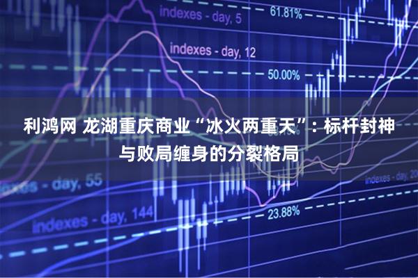 利鸿网 龙湖重庆商业“冰火两重天”: 标杆封神与败局缠身的分裂格局