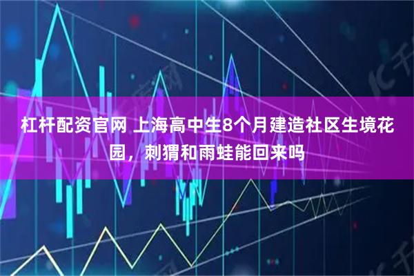 杠杆配资官网 上海高中生8个月建造社区生境花园，刺猬和雨蛙能回来吗