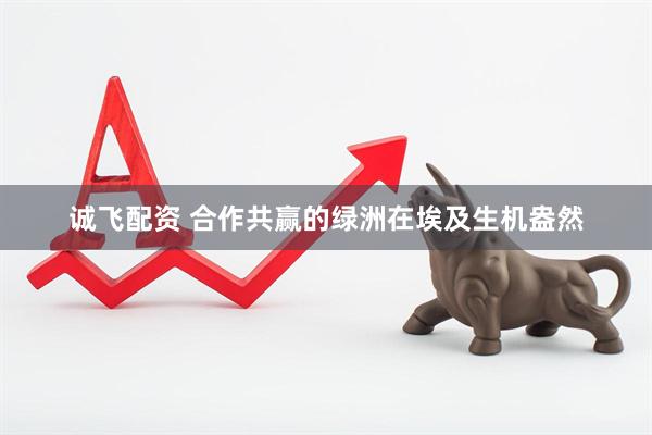 诚飞配资 合作共赢的绿洲在埃及生机盎然