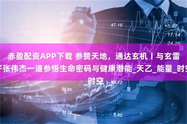 赤盈配资APP下载 参赞天地，通达玄机丨与玄雷子张伟杰一道参悟生命密码与健康潜能_天乙_能量_时空