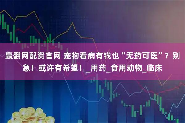 赢翻网配资官网 宠物看病有钱也“无药可医”？别急！或许有希望！_用药_食用动物_临床
