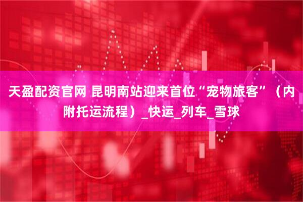 天盈配资官网 昆明南站迎来首位“宠物旅客”（内附托运流程）_快运_列车_雪球