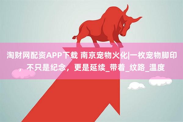 淘财网配资APP下载 南京宠物火化|一枚宠物脚印，不只是纪念，更是延续_带着_纹路_温度