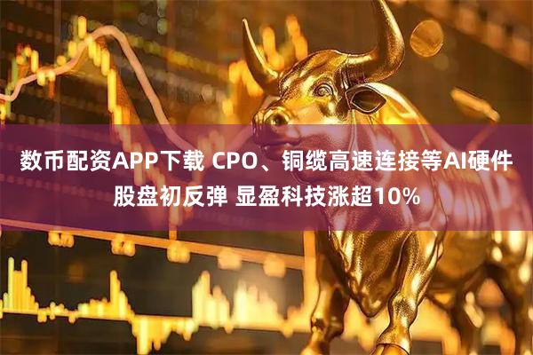 数币配资APP下载 CPO、铜缆高速连接等AI硬件股盘初反弹 显盈科技涨超10%