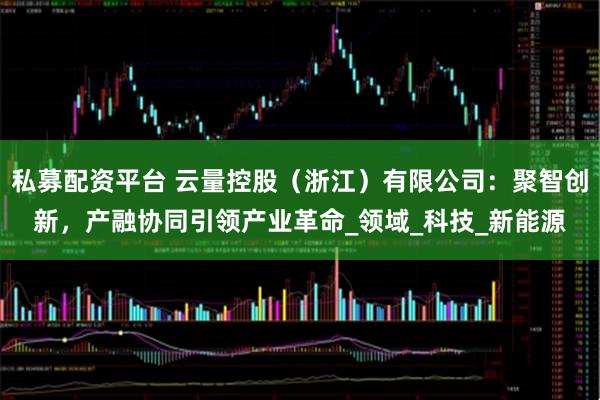 私募配资平台 云量控股（浙江）有限公司：聚智创新，产融协同引领产业革命_领域_科技_新能源