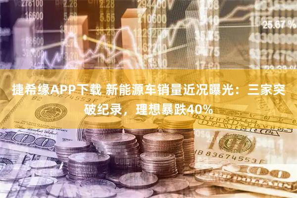 捷希缘APP下载 新能源车销量近况曝光：三家突破纪录，理想暴跌40%