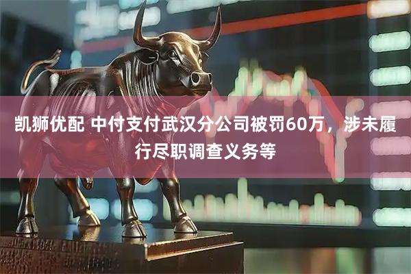 凯狮优配 中付支付武汉分公司被罚60万，涉未履行尽职调查义务等