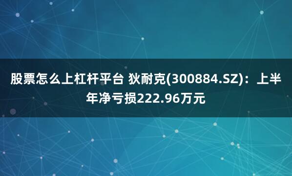 股票怎么上杠杆平台 狄耐克(300884.SZ)：上半年净亏损222.96万元